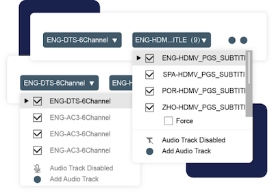 Audio Tracks and Subtitles Preservation